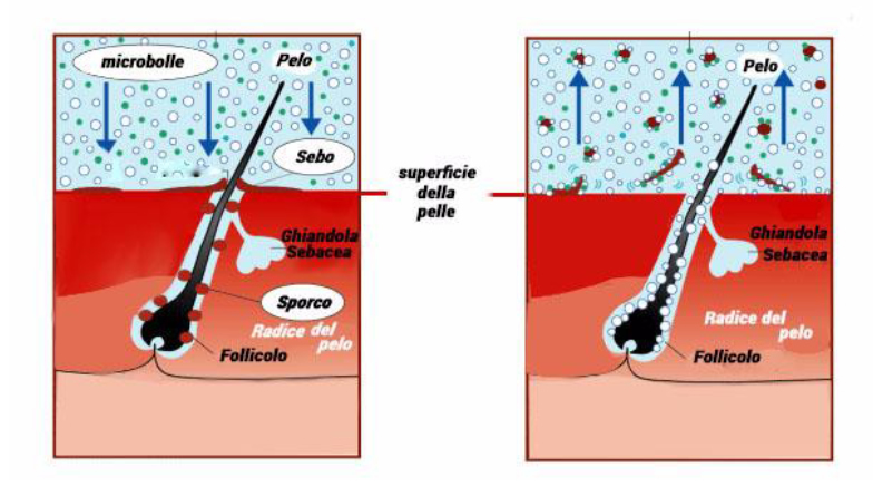 Risultati immagini per nanobolle toelettatura