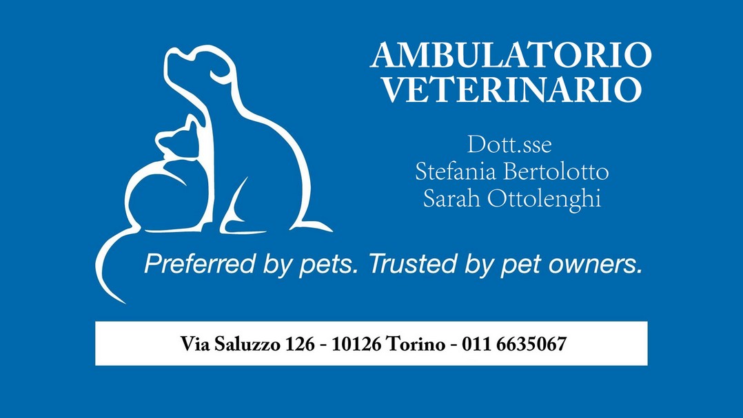 veterinario Torino